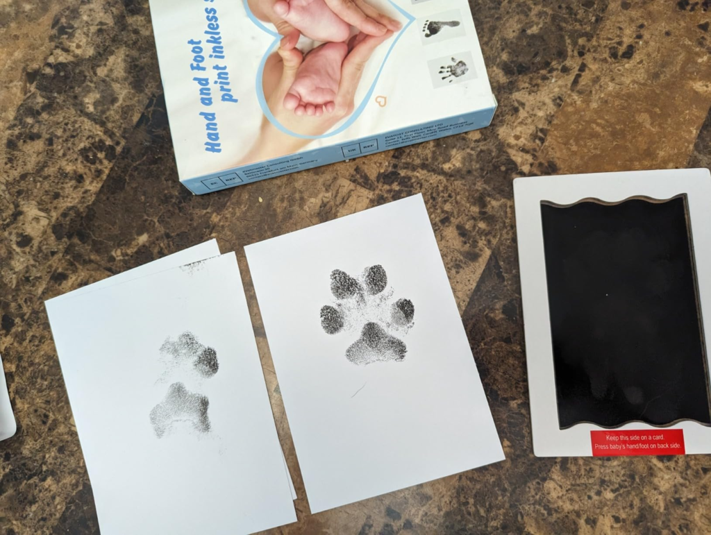 paint safe for dog paws